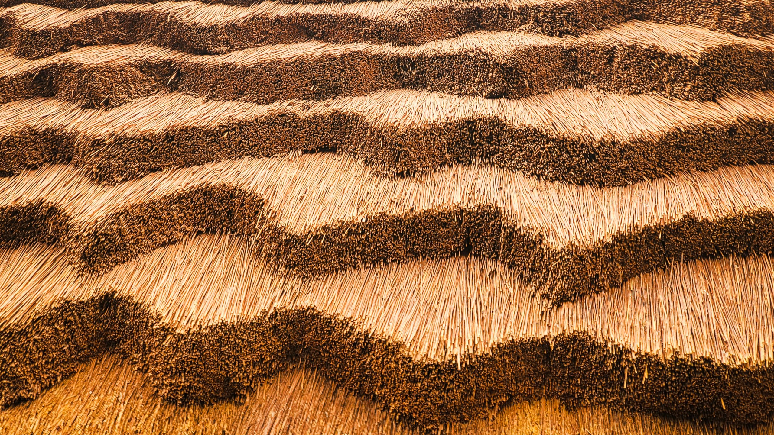 couverture de toiture